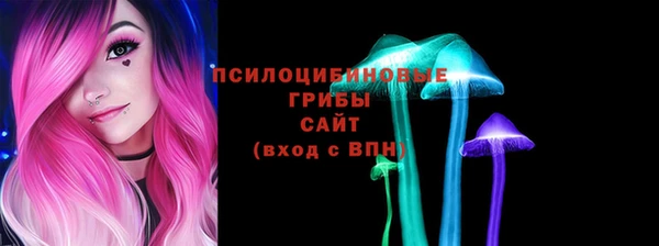 шишки Богданович