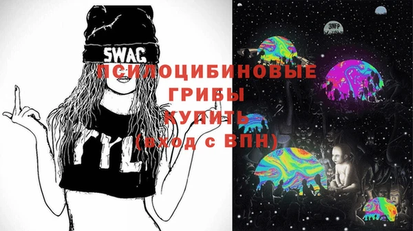 шишки Богданович