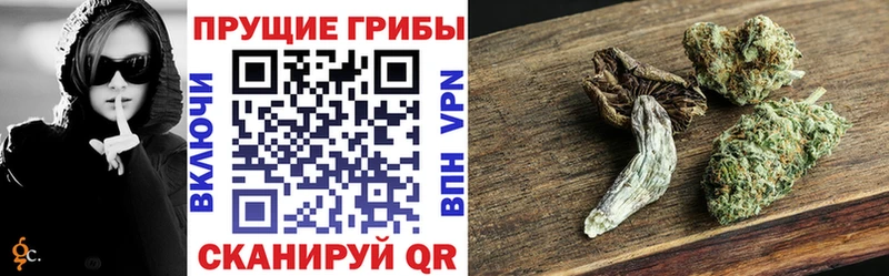 Галлюциногенные грибы Psilocybine cubensis  магазин    Новоржев 