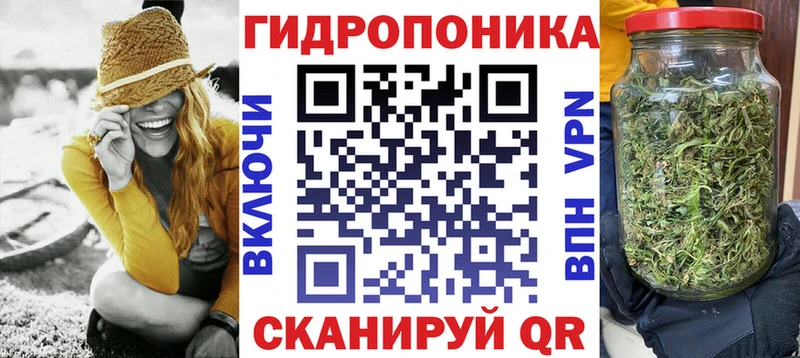 Бошки марихуана гибрид  kraken вход  Новоржев 